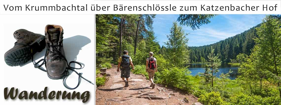 Wanderung - Vom Krummbachtal über Bärenschlössle...