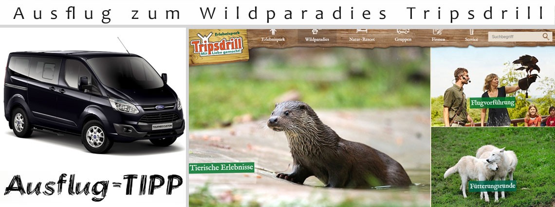 Ausflug zum Wildparadies Tripsdrill